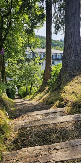 Glendalough Hotel garden steps