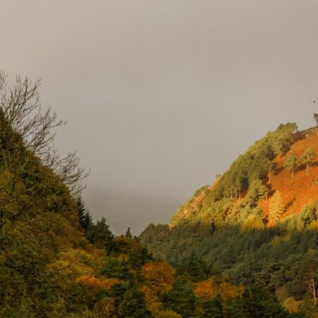 Glendalough Valley in Autumn