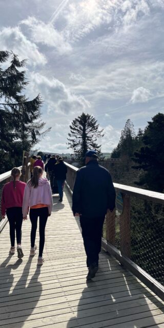 Avondale, Treetop Walk Co Wicklow_master