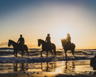 Horse Riding / Pony Trekking