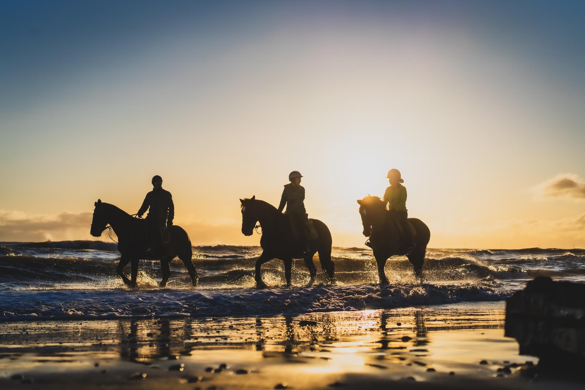 Horseback Riding Wicklow Glendalough Hotel