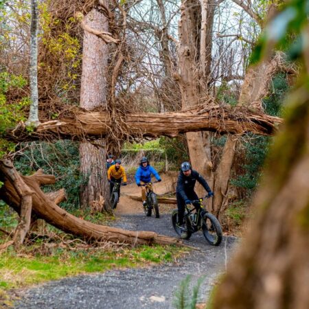 Mountain Biking in Wicklow near The Glendalough Hotel