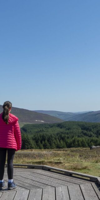 Glendalough, Trail, Wicklow National Park, Co Wicklow_master (3) (1)