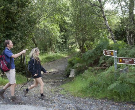 Moderate Walks in Glendalough