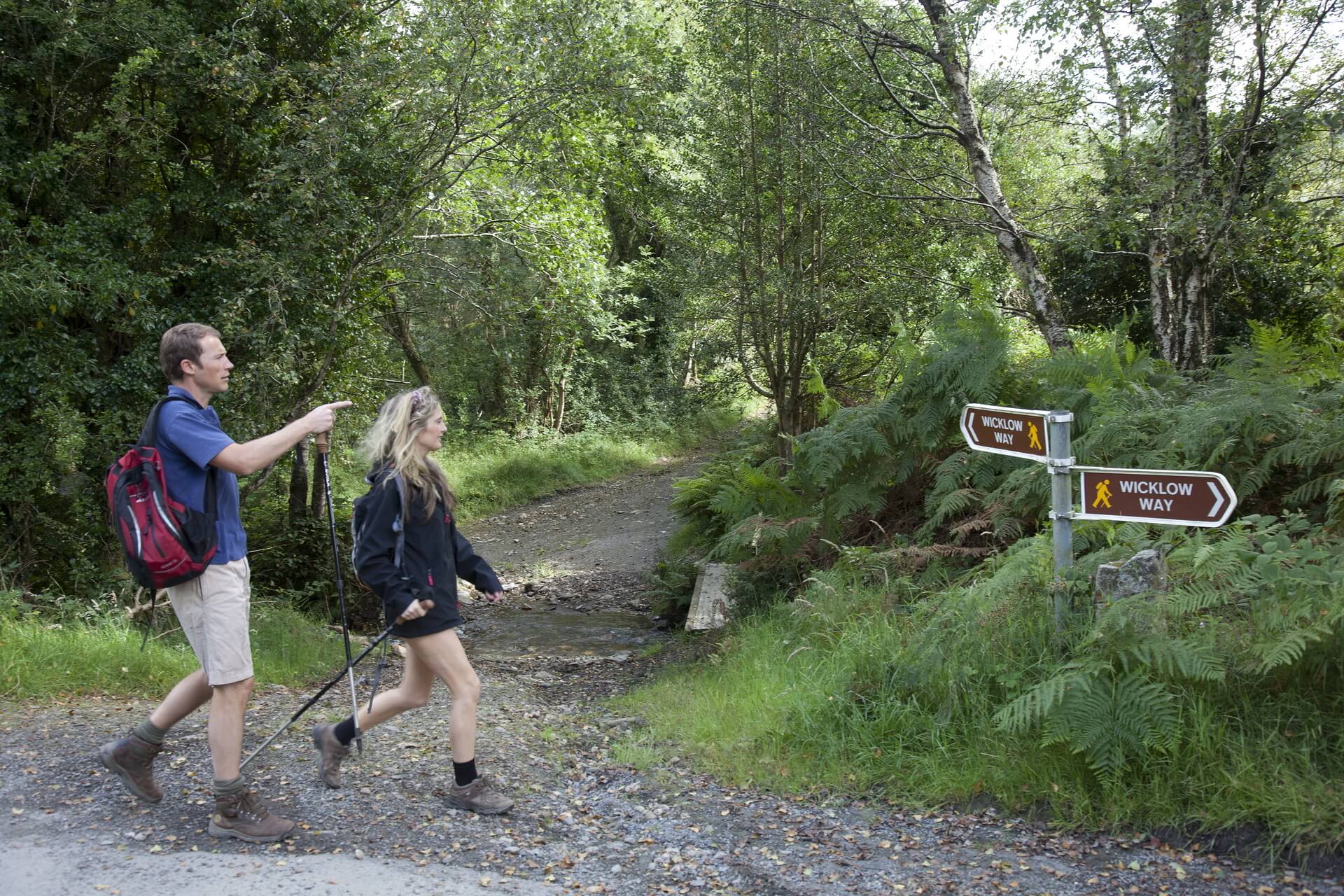 Some of our favourite walks in Glendalough