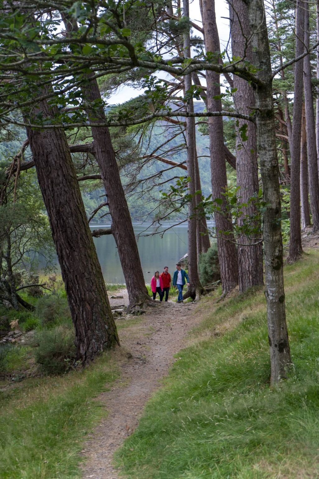 Spinc Route Hill Walks in Glendalough | Walking Holidays Ireland