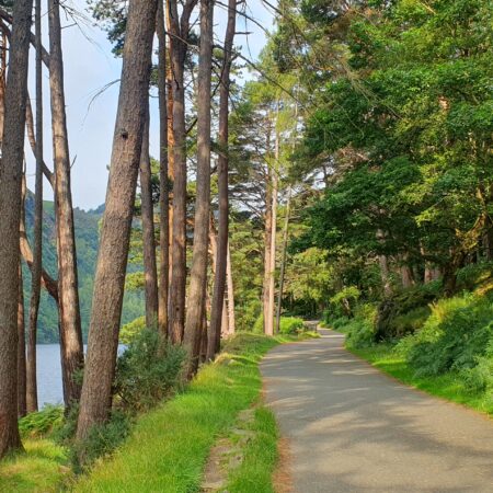 Path by Upper Lake in Glendalough Miners Walk