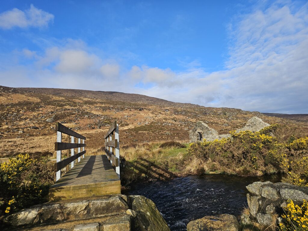 St Kevins Way Hike Near Glendalough in Wicklow